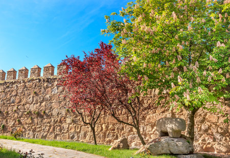 Ancient Bull Statue Verraco Castle Walls Swallows Avila Castile Spain.  Described as the most 16th century town in Spain.  Walls created in 1088 after Christians conquer and take the city from the Moors.  Bull States created in 200BC.のeditorial素材