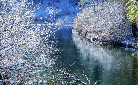Winter Leaves Snow Ice Wenatchee River Stevens Pass Leavenworth Washingtonの写真素材