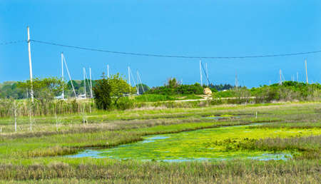 Padnaram Habor Green Grass Salt Water Marsh Dartmouth Masschusetts