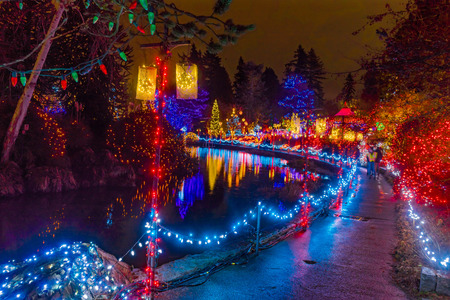 Path Blue Red Yellow Christmas Trees Lights Reflection Lake Van Dusen Garden Vancouver British Columbia Canadaの写真素材
