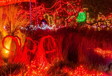 Red Green Christmas Lights Grasses Abstract Van Dusen Garden Vancouver British Columbia Canadaの写真素材