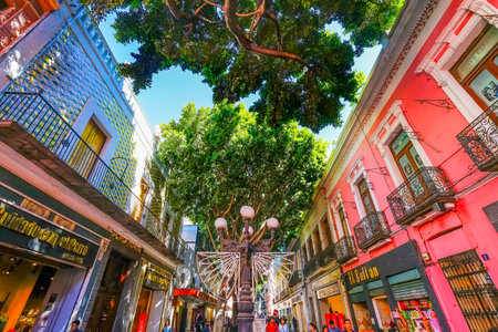 Major Shopping Street Stores Shoppers Zocalo Puebla Mexicoのeditorial素材