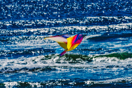 Colorful Bird Kite Blue Waves Canon Beach Clatsap County Oregon.  Orginally discovered by Clark of...