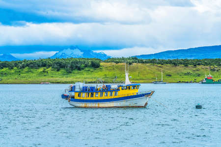 Yellow Blue Tour Boat Harbor Mountain Punta Natales Patagonia Chile.  Cygnus melancoryphus is the...