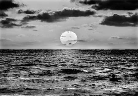 Black White Surfer Watching Sunset La Jolla Shores Beach San Diego Californiaの写真素材