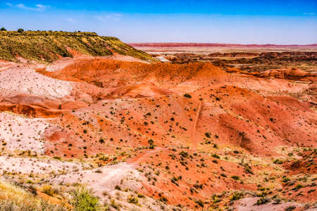 Red White Hills Green Plants Tawa Point Painted Desert Petrified Forest National Park Arizonaの写真素材