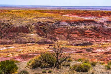 Orange Red Hills Green Plants Tawa Point Painted Desert Petrified Forest National Park Arizonaの写真素材