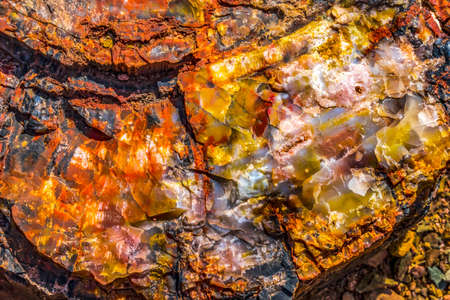 Red Orange White Petrified Wood Log Abstract Vistor Center Petrified Forest National Park Arizonaの写真素材
