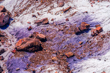 Petrified Wood Logs Rock Purple Blue Mesa Petrified Forest National Park Arizonaの写真素材
