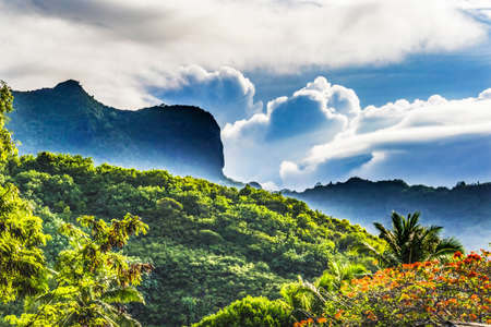 Colorful Flame Tree Mountain Moorea Tahiti French Polynesia.の写真素材