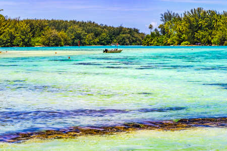 Colorful Hauru Point Beach Palm Trees Islands Coconut Blue Water Moorea Tahiti French Polynesia. Different blue colors from lagoon and coral reefs and deep blue Pacificの写真素材