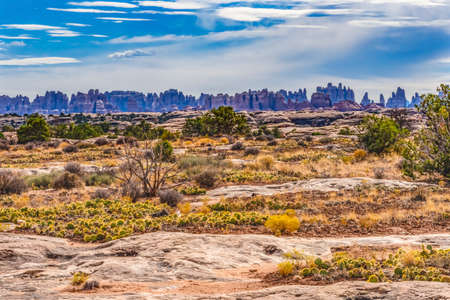 Colorful Sandstone Spries Canyonlands National Park Needles District Utah.の写真素材