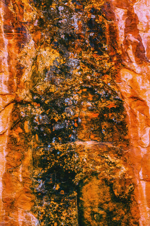 Brown Yellow Orange Rock Canyon Abstract Devils Garden Arches National Park Moab Utah USA Southwest...
