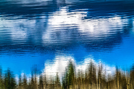Green Trees White Clouds Blue Sky Reflection Abstract Washington State Pacific Northwestの写真素材