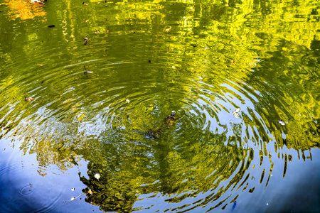 Turtles Green Blue Water Reflections Burial Mound Habikino Osaka Province Japan. Water Around Ancient Burial Mound 500 ADの写真素材