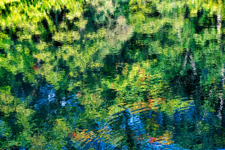 Orange Fall Leaves Green Reflection Abstract Autumn Furuichi kofungun Burial Mound Habikino Osaka Province Japan. Ancient Burial Mound 500 AD.の写真素材
