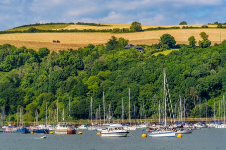 Colorful Dartmouth Harbor Sailboats on River Dart Fields Sheep Kingswear Dartmouth Devon England.の写真素材