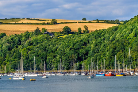 Colorful Dartmouth Harbor Sailboats Fishing Boats Fields Sheep Grazing Kingswear Devon England.の写真素材