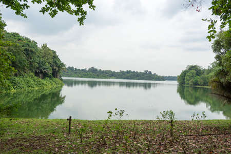 Landscape view of river and forest with blue sky during dayの写真素材