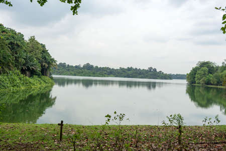 Landscape view of river and forest with blue sky during dayの写真素材