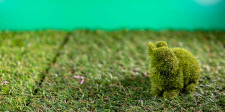 Rabbit made of grass while sitting on a grass and green background for happy easter celebrationの写真素材
