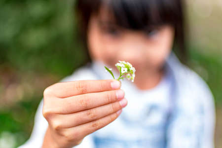 Child's hand holding a small flower. Sharing and giving concept. Love for parents and mothersday concept. Protect kids conceptの写真素材
