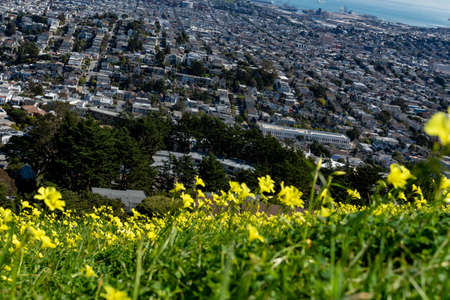 Panoramic shot of San Francisco Business District from Twin Peaks, California USA, March 30 2020の写真素材