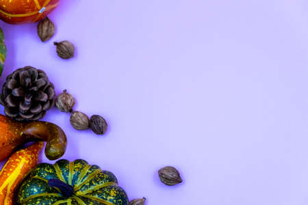 Autumn composition. Dried leaves, pumpkins, flowers, rowan berries on light purple background....