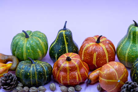 Autumn composition. Dried leaves, pumpkins, flowers, rowan berries on light purple background. Autumn, fall, halloween, thanksgiving day concept. Flat lay, top view, copy spaceの写真素材