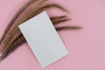 Top view of blank paper page on pink background office desk and different objects. Minimal flat lay...