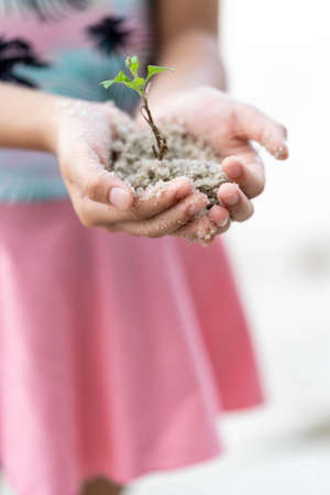 Two hands of a child holding and planting the seedlings into the soil.