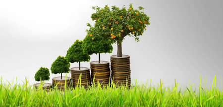 Increasing Piles Of Coins with growing  plant on top. Investment and Saving concept with natureの写真素材