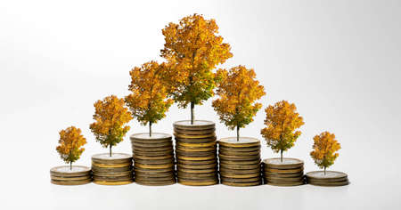 Increasing and decreasing pile of coins going up and down with growing yellow tree on top on white backgroundの写真素材