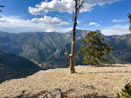 Rocky landscapes and vistas at Mount Charleston, NV. Mount Charleston is a famous and difficult peak 40 miles from Las Vegas, Nevada. It affords unique and dramatic natural settings.の写真素材
