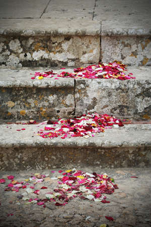 flowers over stairsの写真素材