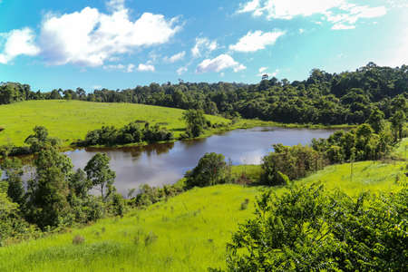 A small lake can see from a observation tower, park of Khaoyai National park, Thailandの写真素材