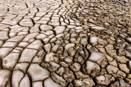 image show a dry land in summerの写真素材