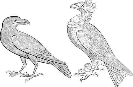 crow bird silhouetteのイラスト素材