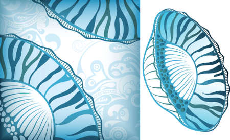 Sea Shell 2のイラスト素材