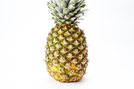 Pineappleの写真素材