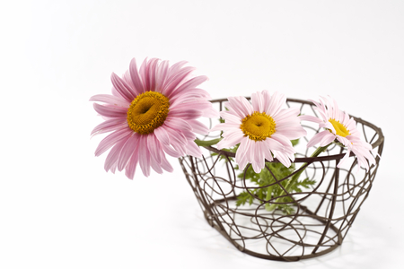 Various flowers on the tableの写真素材
