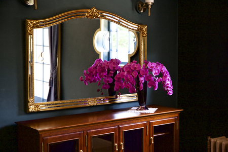 Orchid roomの写真素材