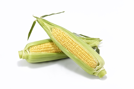 Sweet fresh corn isolated on white.の写真素材