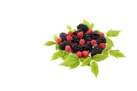 Blackberry and raspberry  isolated on white.の写真素材