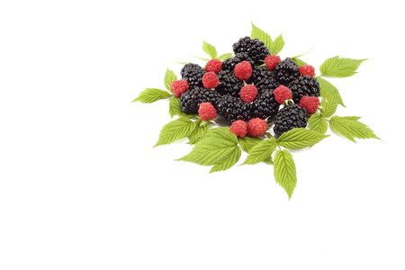 Blackberry and raspberry isolated on whiteの写真素材
