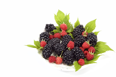 Blackberry and raspberryの写真素材