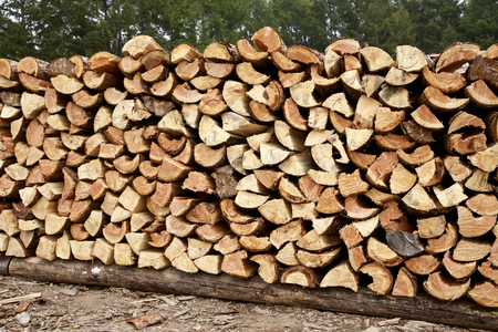 Firewood stacked in autumnの写真素材