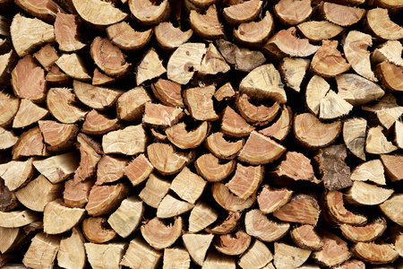 Firewood stacked in autumnの写真素材