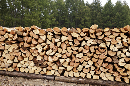 Firewood stacked in autumnの写真素材