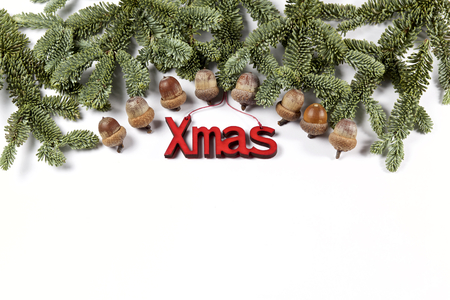 Christmas Fir treeの写真素材